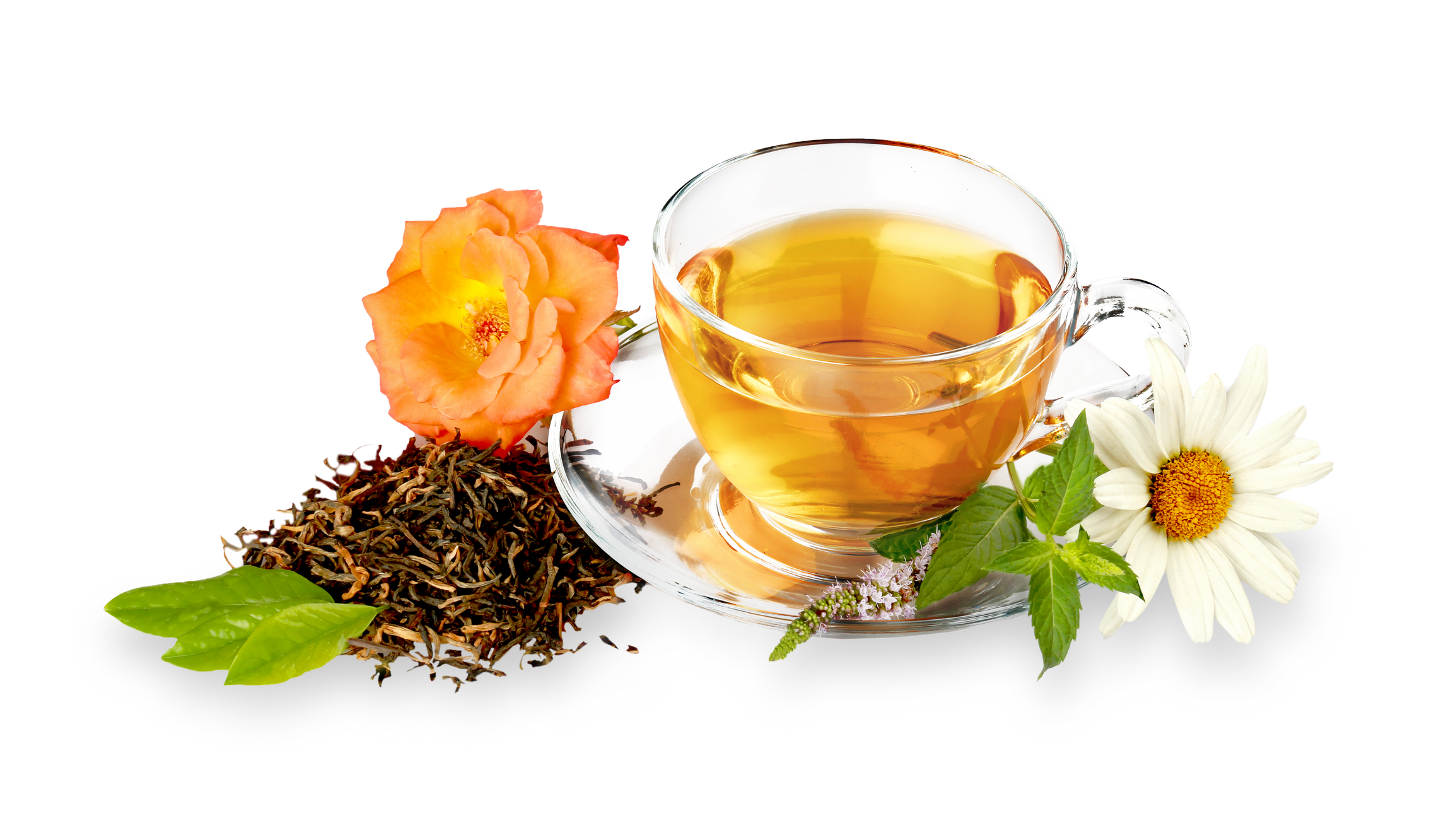 Cup of Herbal Tea 